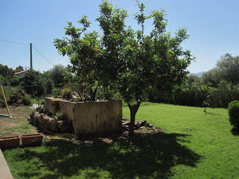 Villa Las Rosas Alghero Exterior photo